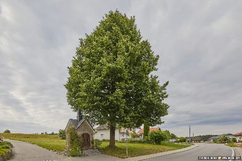 Gemeinde Tyrlaching Landkreis Altötting Weg Kapelle nach Rainbichl (Dirschl Johann) Deutschland AÖ